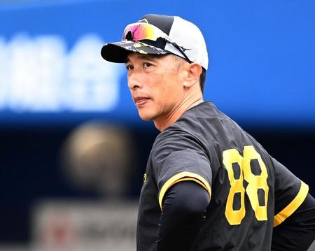 　練習を見る矢野監督（撮影・田中太一）