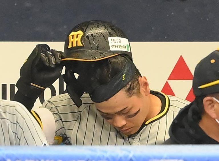 　８回、空振り三振に倒れてヘルメットをたたきつける佐藤輝（撮影・堀内翔）