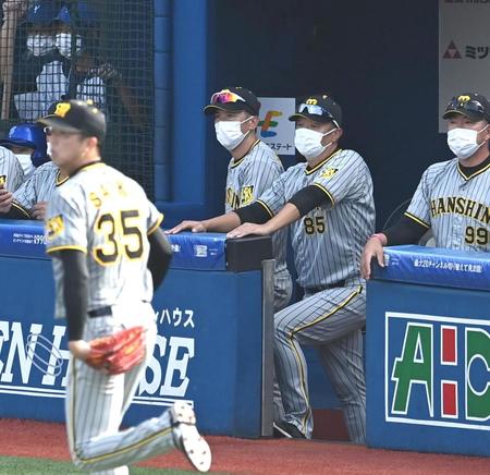 　３回、厳しい表情で戦況を見守る矢野監督（中央左）、福原投手コーチら（撮影・飯室逸平）