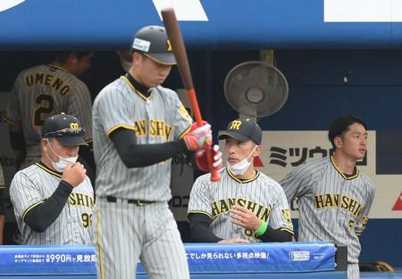 　３回、攻撃前の矢野監督（中央）。打席に向かう才木（撮影・堀内翔）