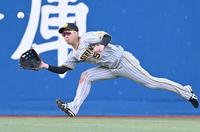 　６回、打球を好捕する近本（撮影・田中太一）