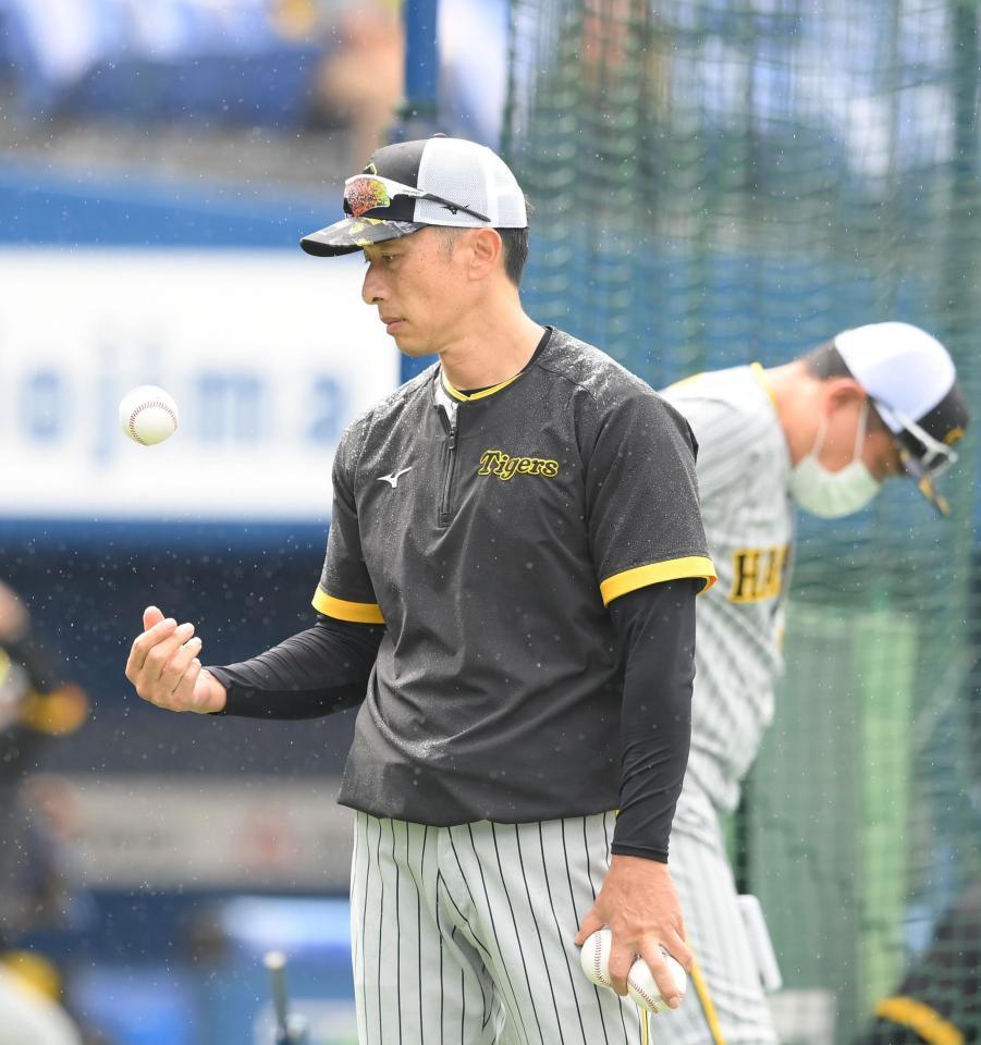 　練習中にボールを見つめる矢野監督（撮影・堀内翔）