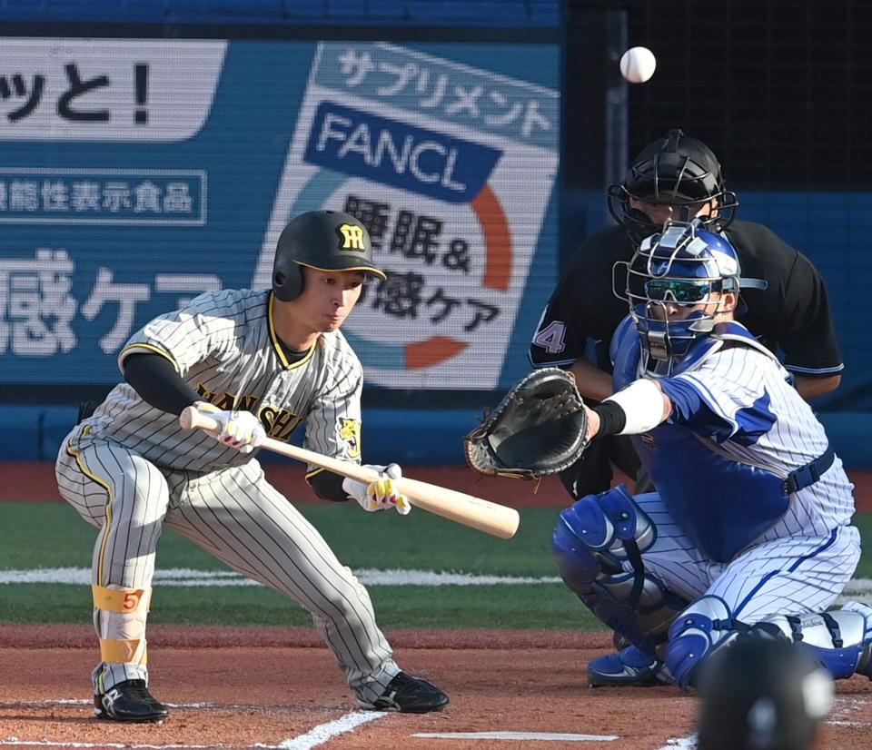 　６回、送りバントするもファールとなる近本＝１０日