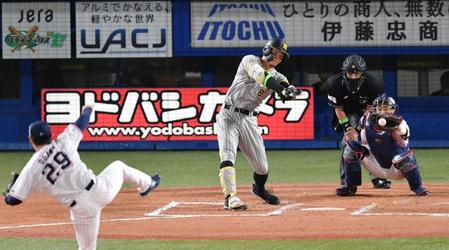 　７回、佐藤輝は空振り三振に倒れる（撮影・佐々木彰尚）