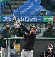 　打撃練習をする佐藤輝（撮影・佐々木彰尚）