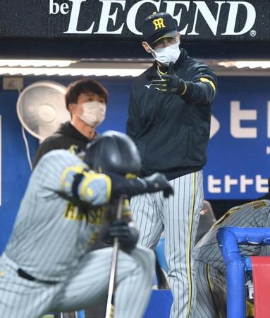 　４回、代打・ロハスを告げる矢野監督（撮影・棚橋慶太）