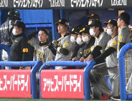 ９回、阪神・糸原健斗が凡退に倒れゲームセット。ベンチからグラウンドを見つめる阪神・佐藤輝明、阪神・近本光司ら＝神宮（撮影・田中太一）