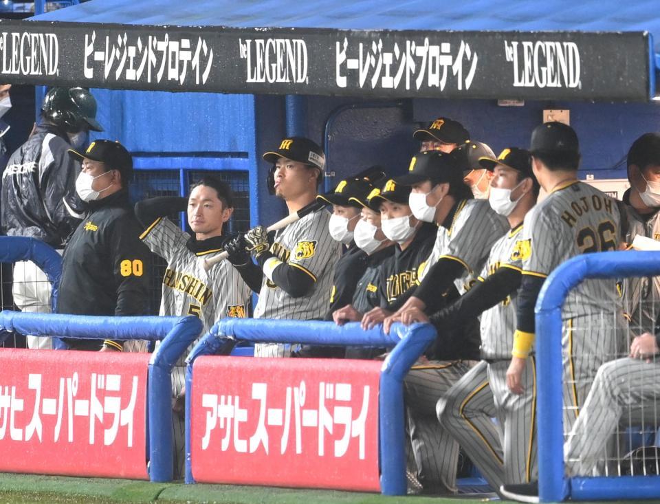 　９回、糸原が凡退に倒れゲームセット。ベンチからグラウンドを見つめる佐藤輝（中央）、近本（左から２人目）ら阪神ナイン（撮影・田中太一）