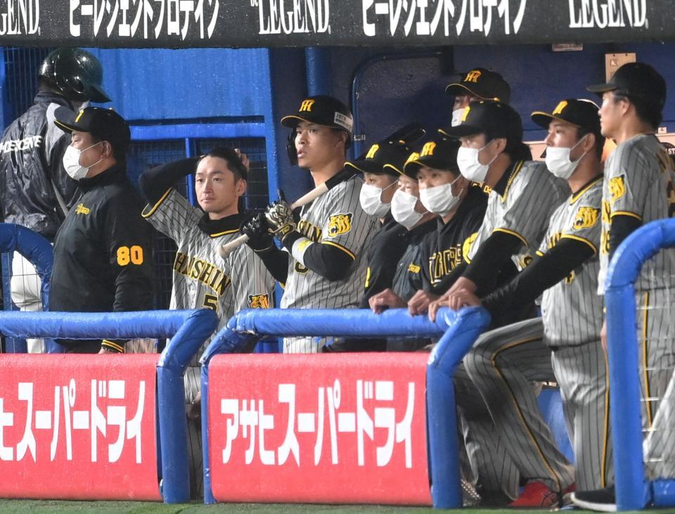９回、阪神・糸原健斗が凡退に倒れゲームセット。ベンチからグラウンドを見つめる阪神・佐藤輝明、阪神・近本光司ら＝神宮（撮影・田中太一）