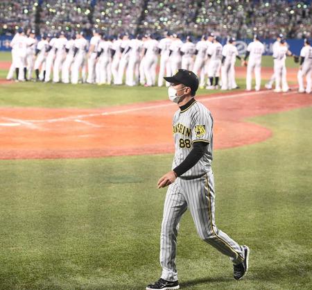 　喜ぶヤクルトナインを横目に見ながらレフトスタンドの阪神ファンにあいさつに向かう矢野監督（撮影・園田高夫）