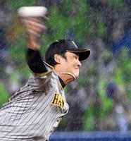 　降りしきる雨の中、力投する藤浪（撮影・飯室逸平）