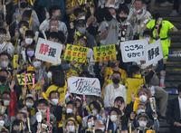 　５回、大山が２点適時打を放ち喜ぶ阪神ファン（撮影・堀内翔）