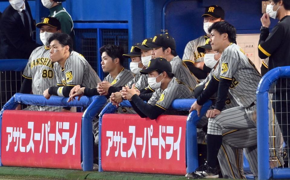 　歓喜のヤクルトナインをベンチから見つめる阪神ナイン（撮影・飯室逸平）
