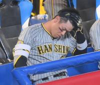 　４回、好機で三邪飛に倒れて頭を押さえる佐藤輝（撮影・堀内翔）