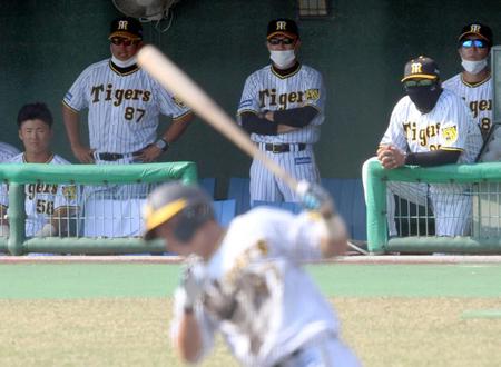 　７回、凡打に倒れる小野寺の打席を見る和田２軍監督（奥中央）