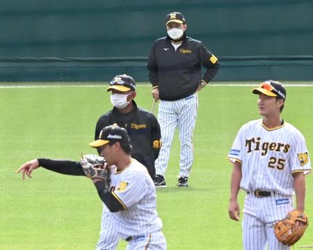 　二塁の守備練習をする植田（手前左）、渡辺諒の動きを見る岡田監督（撮影・田中太一）