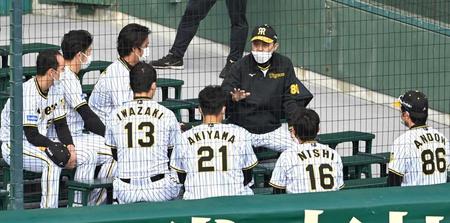 　アルプススタンドで青柳（左）ら秋季練習免除組の投手陣と話をする岡田監督