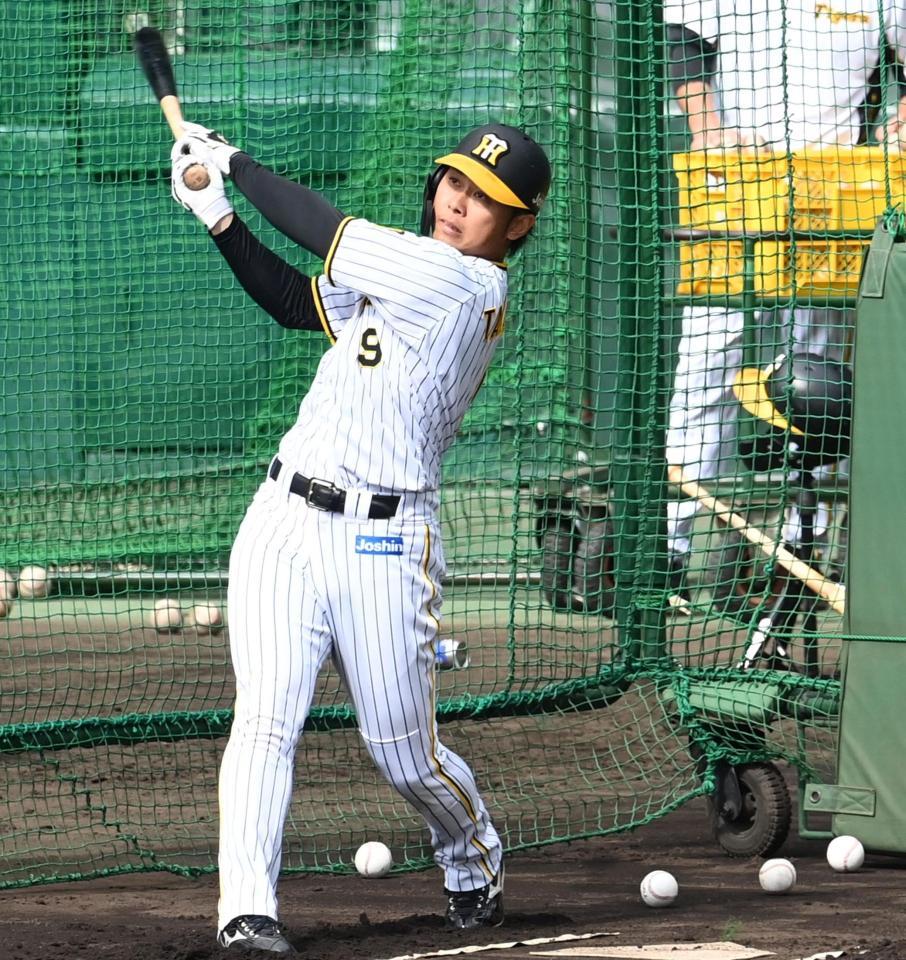 　打撃練習をする高山（撮影・田中太一）