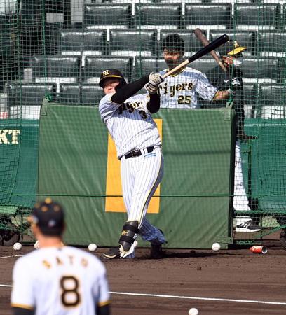 　打撃練習する大山（撮影・山口登）