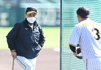 　練習を見守る岡田監督（撮影・飯室逸平）