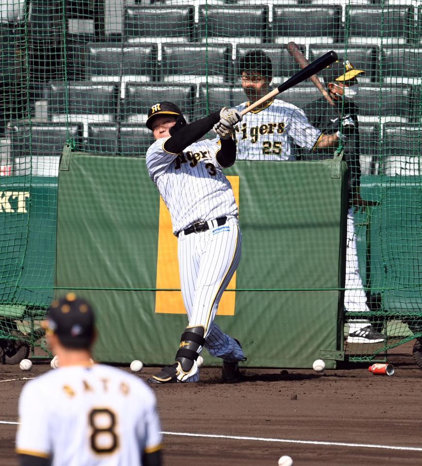 　打撃練習する大山（撮影・山口登）