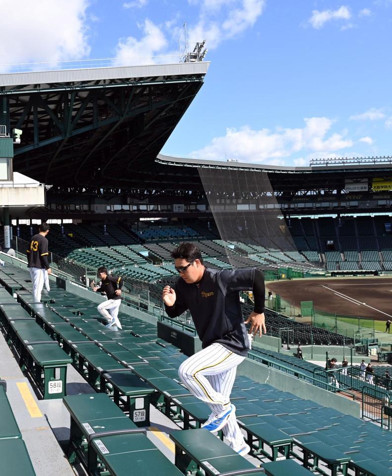 　アルプススタンドを駆け上がる大山（撮影・山口登）