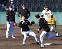 　二遊間の守備練習で、中野（手前左）はセカンドに入り、木浪からのトスを受け取る（後方中央は岡田監督）＝撮影・山口登