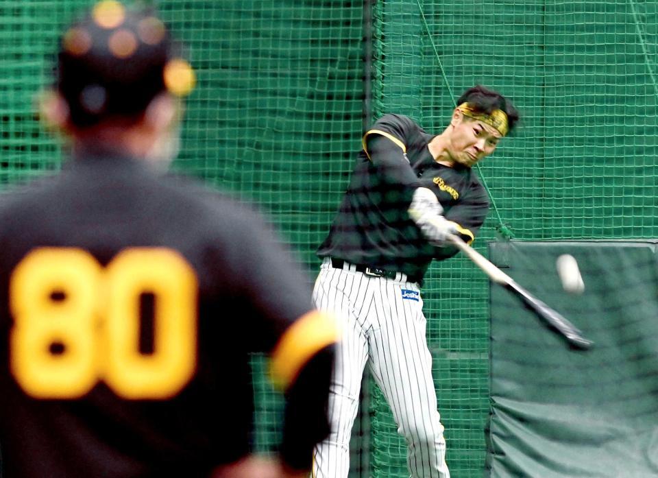 　岡田監督（手前）が見守る中、打撃練習をする佐藤輝（撮影・田中太一）