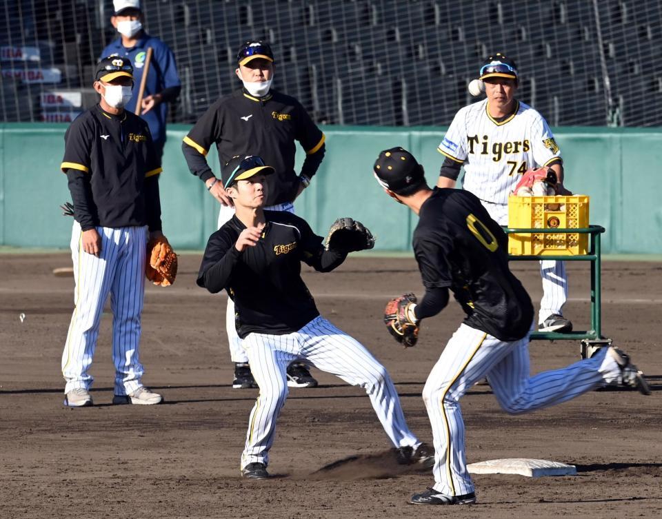 　二遊間の守備練習で、中野（手前左）はセカンドに入り、木浪からのトスを受け取る（後方中央は岡田監督）＝撮影・山口登