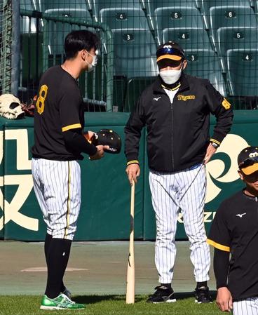 　佐藤輝（左）に声を掛ける岡田監督（撮影・山口登）