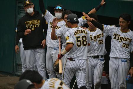 　八回に右中間への同点ソロを放ち、仲間とハイタッチを交わす前川