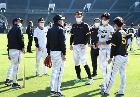 　岡田監督（左端）、平田ヘッドコーチの話を聞く（右から）近本、湯浅、佐藤輝、中野（撮影・飯室逸平）