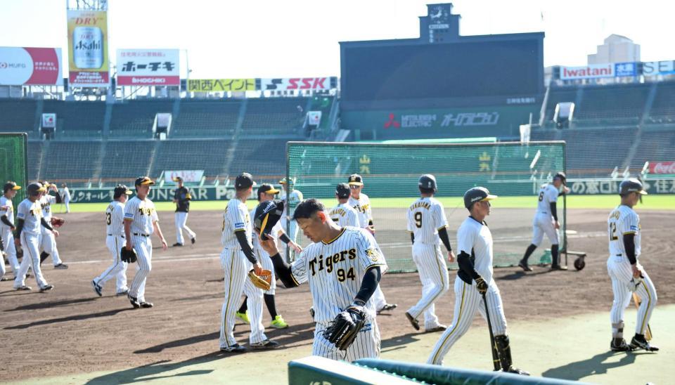 　甲子園での秋季練習を終え、グラウンドを後にする阪神ナイン（撮影・飯室逸平）