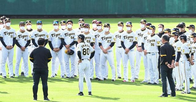 阪神秋季キャンプ 初シートノックで遊撃に小幡、左翼の井上、前川 岡田