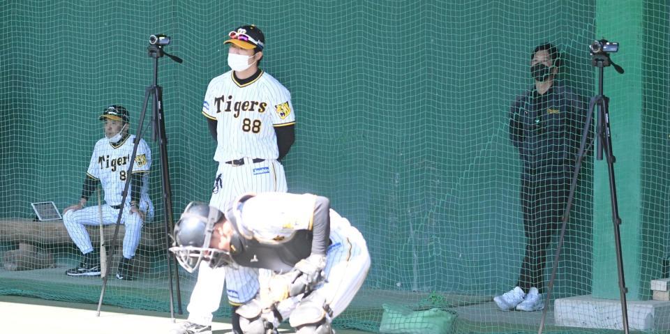 　ブルペンを視察する岡田監督（左端）と藤川ＳＡ（右端）＝撮影・飯室逸平