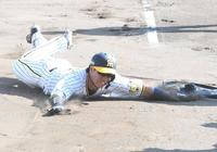 　ヘッドスライディングで生還する梅野（撮影・飯室逸平）