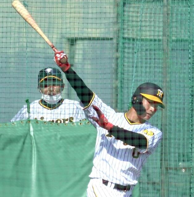 阪神・木浪“バット肩乗せ打法”挑戦中 正遊撃手獲りへ将の助言参考