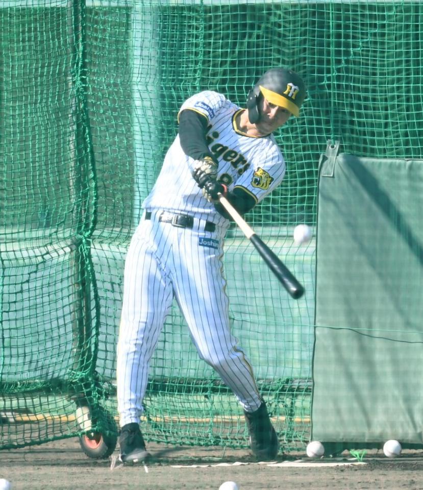 　ランチ特打で快音を響かせる佐藤輝