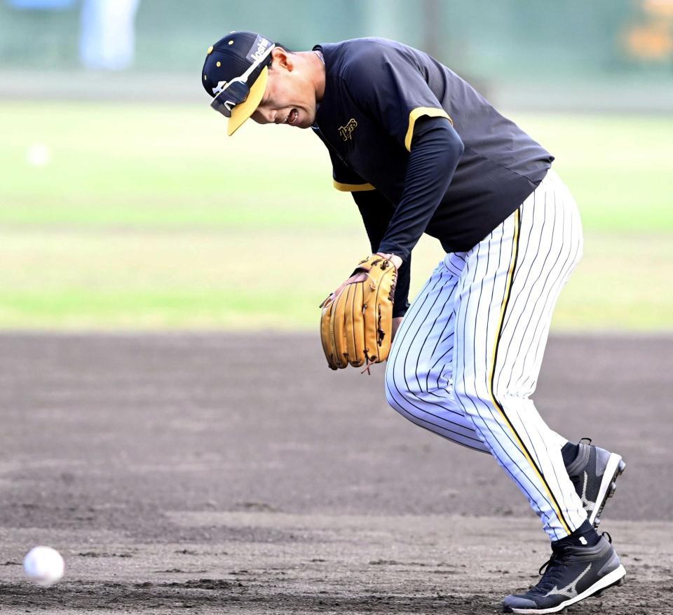 　三塁のノックで左右に振られ、顔をしかめてボールを追う佐藤輝（撮影・田中太一）