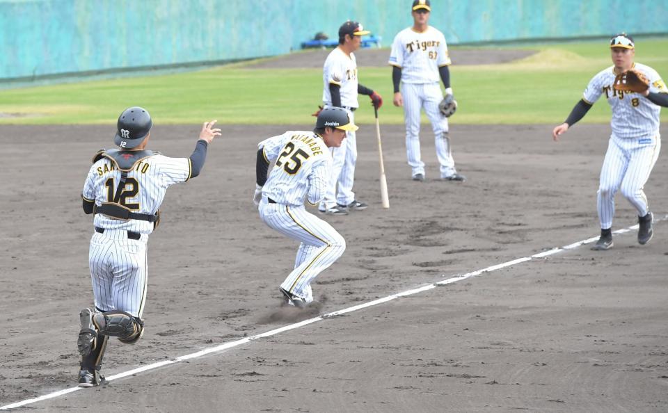 　走者の渡辺（２５）を三塁手・佐藤輝（右端）と挟む坂本（撮影・高部洋祐）