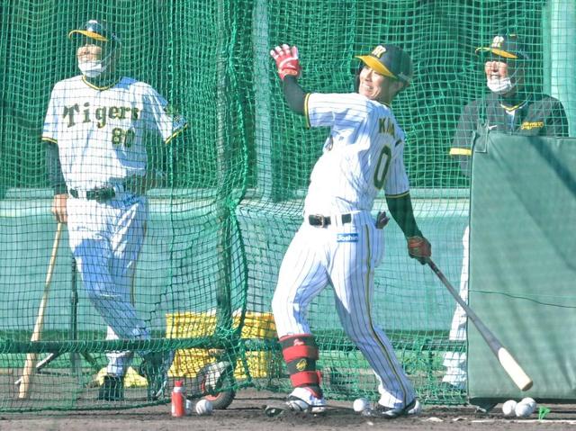阪神二遊間ホームラン競争勃発　中野ら「４人で２０本」指令　強い打球で出塁増期待