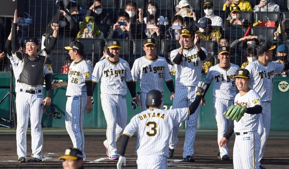 　大山（３）のサヨナラ打に歓喜する阪神ナイン（撮影・飯室逸平）