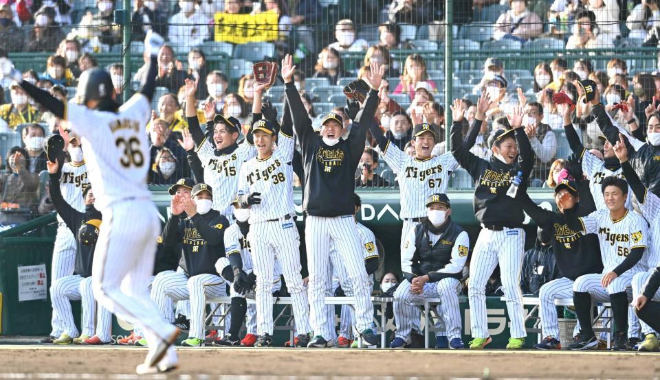 　浜地（３６）の予告ホームランに盛り上がる阪神ナイン（撮影・田中太一）