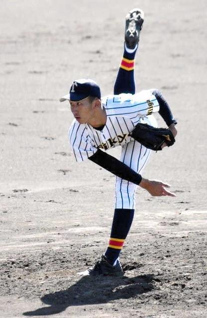 【カルビープロ野球カード】阪神タイガース　選手特集タイガース