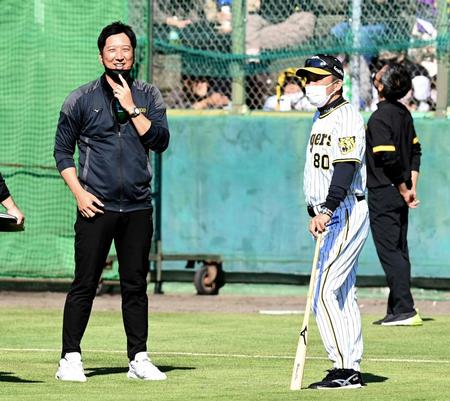 　秋季キャンプで岡田監督と話す藤川ＳＡ（左）＝１１月６日、安芸市営球場