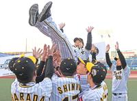 　優勝を決めナインに胴上げされる阪神ジュニアの上本監督