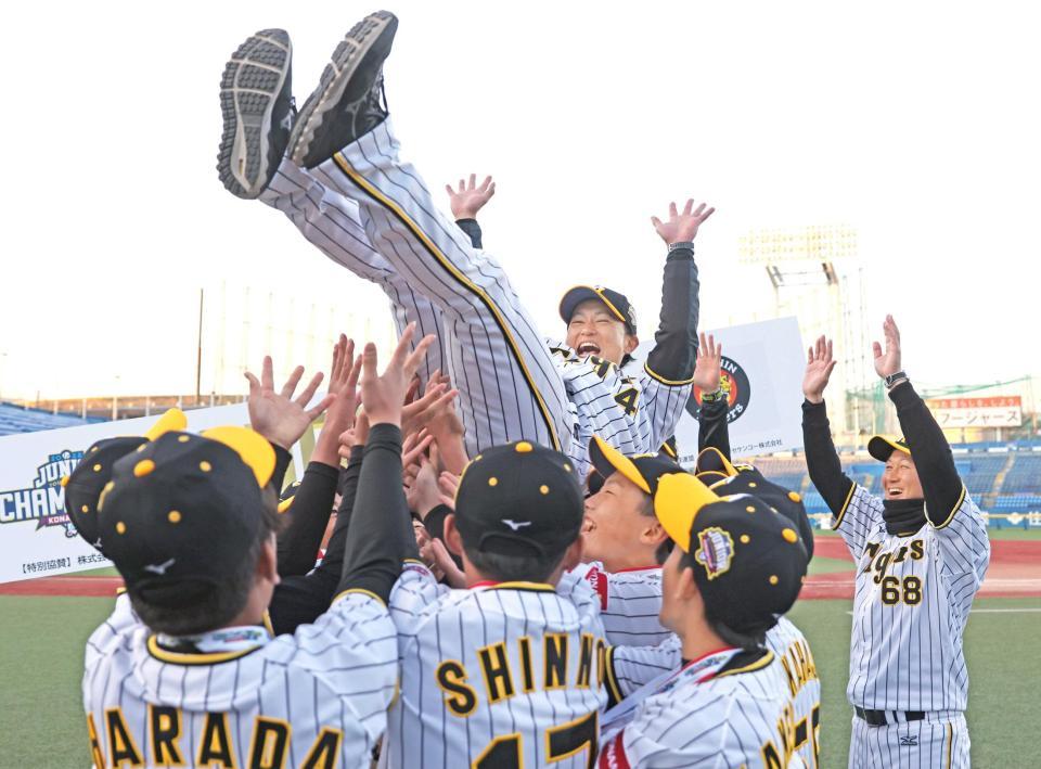 　優勝を決めナインに胴上げされる阪神ジュニアの上本監督
