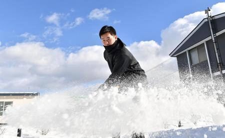 　雪かきを行う門別（撮影・中田匡峻）