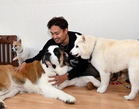 　犬とふれ合い笑顔を見せる秋山（撮影・山口登）