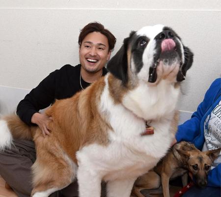 　犬とふれ合い笑顔を見せる秋山（撮影・山口登）